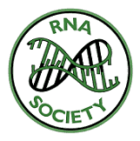 rna-little